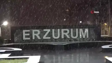 Doğu Anadolu'da Şiddetli Kar Yağışı