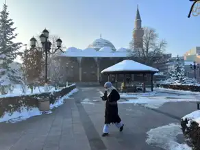 Doğu Anadolu'da Şiddetli Don Olayı