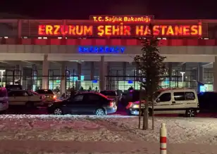 Doğu Anadolu'da 21 İşçi Karbonmonoksit Zehirlenmesi Geçirdi