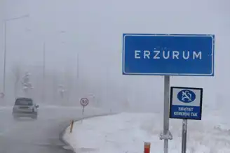 Doğu Anadolu'da Şiddetli Kış: 341 Yerleşim Yeri Ulaşılmaz
