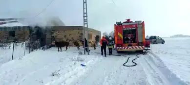 Erzurum Aziziye'de Ahırda Yangın!