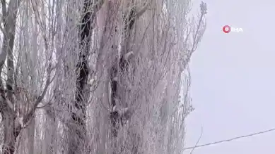 Erzurum'da Kutup Soğuğu: Tekman -24.9 Derece!