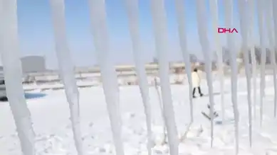 Kışın Büyülü Dokunuşu: Donmuş Şehir Erzurum