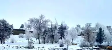 Erzurum'da Dondurucu Soğuk: Tekman'da -21,7 Derece!