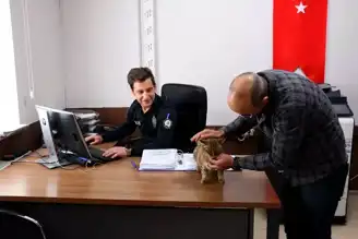 Erzurum Polisi'nin Sevimli Maskotları: Donmak Üzere Bulunan Kediler
