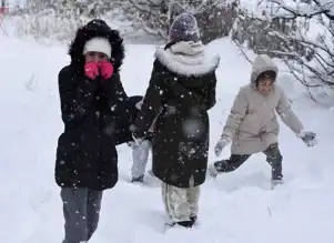 Doğu Anadolu'da Kar Yağışı: Okullar Tatil!