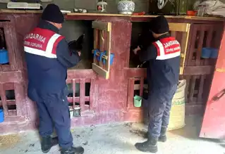 Erzurum'da Horoz Dövüşüne Operasyon!