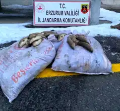 Doğu Anadolu'da Kaçak Balık Avına Operasyon