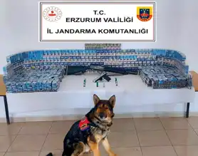 Erzurum'da Büyük Kaçakçılık Operasyonu: 1754 Paket Sigara Ele Geçirildi!