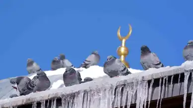 Doğu Anadolu'da Şiddetli Soğuk