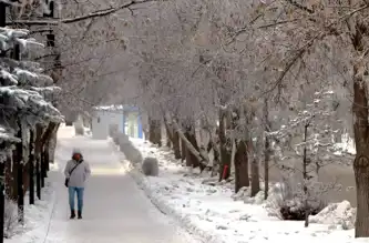 Erzurum'da Donma Tehlikesi: Eksi 19 Derece!