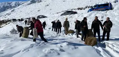 Doğal Yaşamı Korumak İçin Yemleme Çalışması