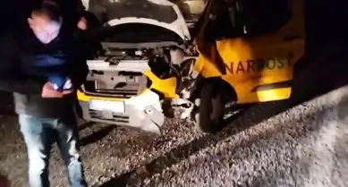Doğu Anadolu'da Trafik Kazası: Ayı Telef Oldu