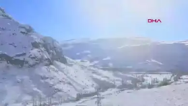 Kışın Zorluklarında Yaban Hayvanlarına Destek!