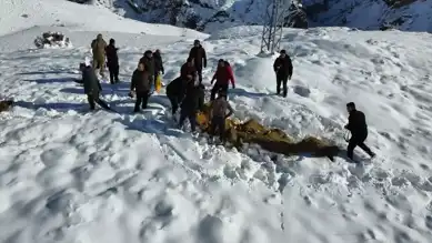 Kışın Yaban Hayvanlarına Destek: Yemleme Çalışması