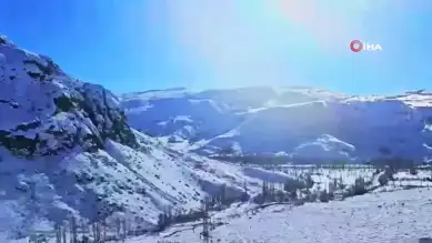 Kışın Yaban Hayatı Destekleniyor
