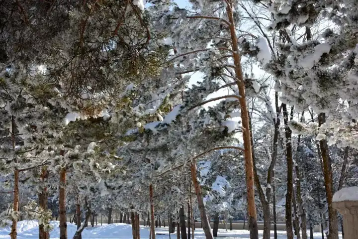 Doğu Anadolu'da Sıcaklık Değişimi: Gündüz Yaz, Gece Kış