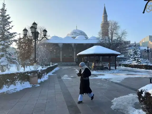 Doğu Anadolu'da Şiddetli Don Olayı
