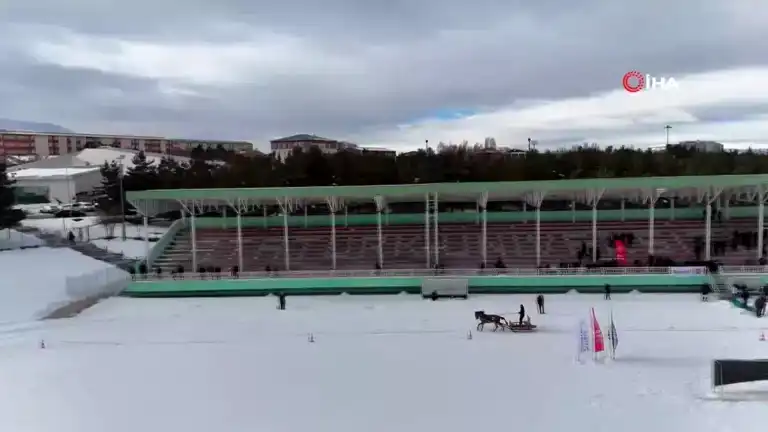 Erzurum'da Atlı Kızak Şöleni: Heyecanlı Yarışlar