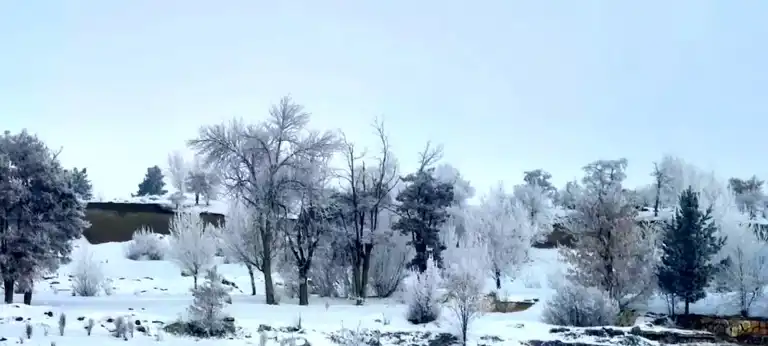 Erzurum'da Dondurucu Soğuk: Tekman'da -21,7 Derece!