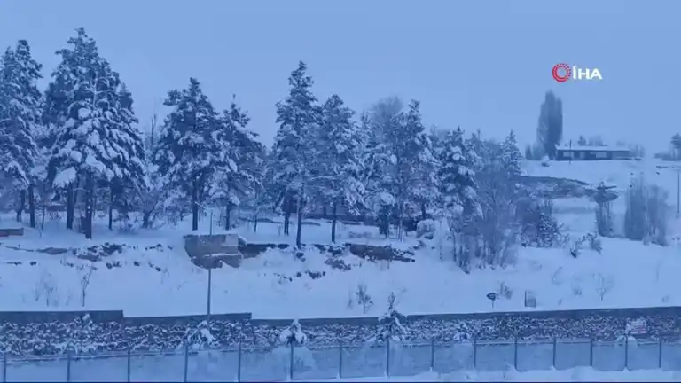 Doğu Anadolu'da Kış Tehlikesi: Buz Sarkıtları Tehdit Savuruyor