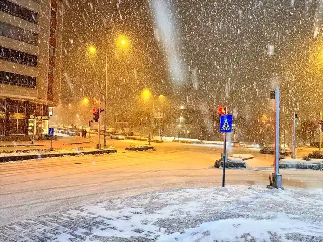 Erzurum'da Yaşamı Felç Eden Kar Yağışı