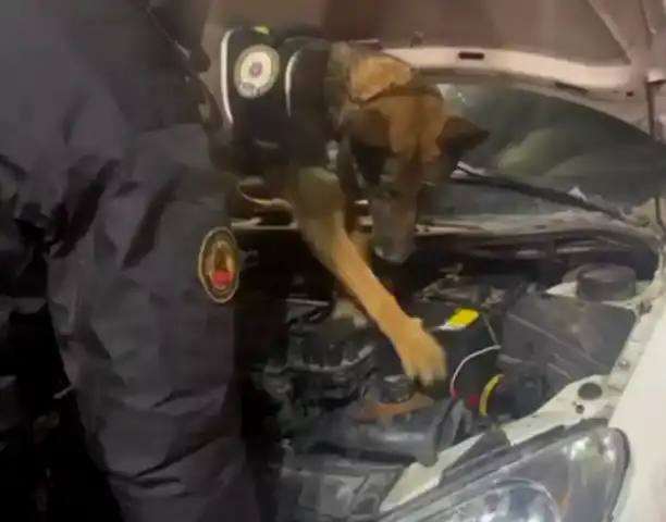 Erzurum'da 3,5 Kilo Metamfetamin Yakalandı