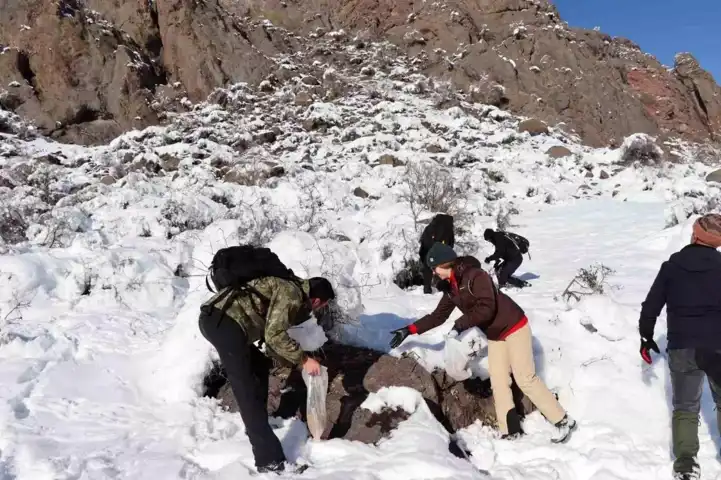 Kışın Aç Kalan Kekliklere Destek Çağrısı