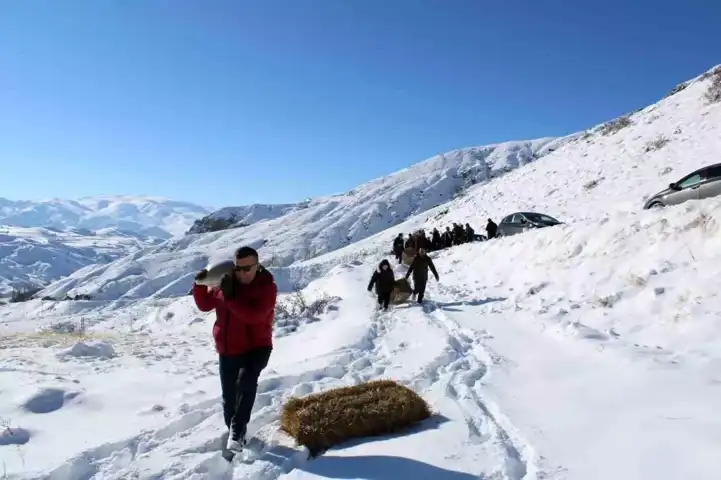 Kışın Yaban Hayvanlarına Yardım Eli